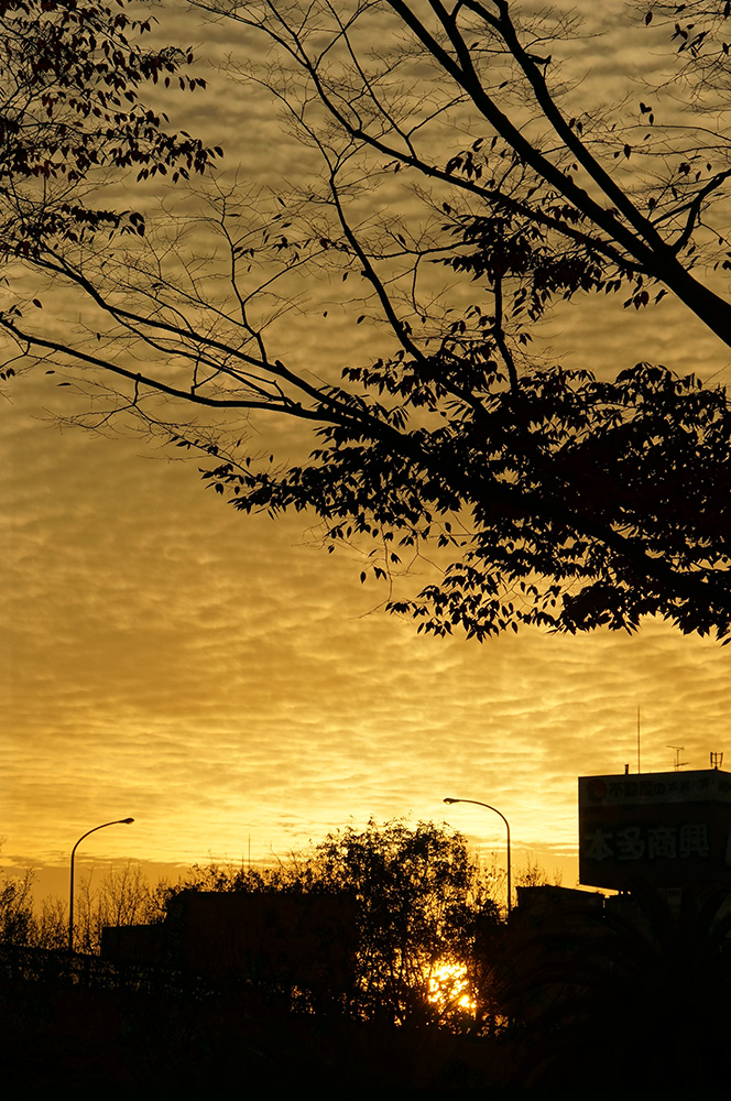 151209_161500_01TR1000