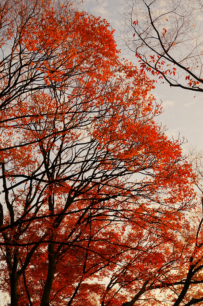 151209_161543_01TR1000