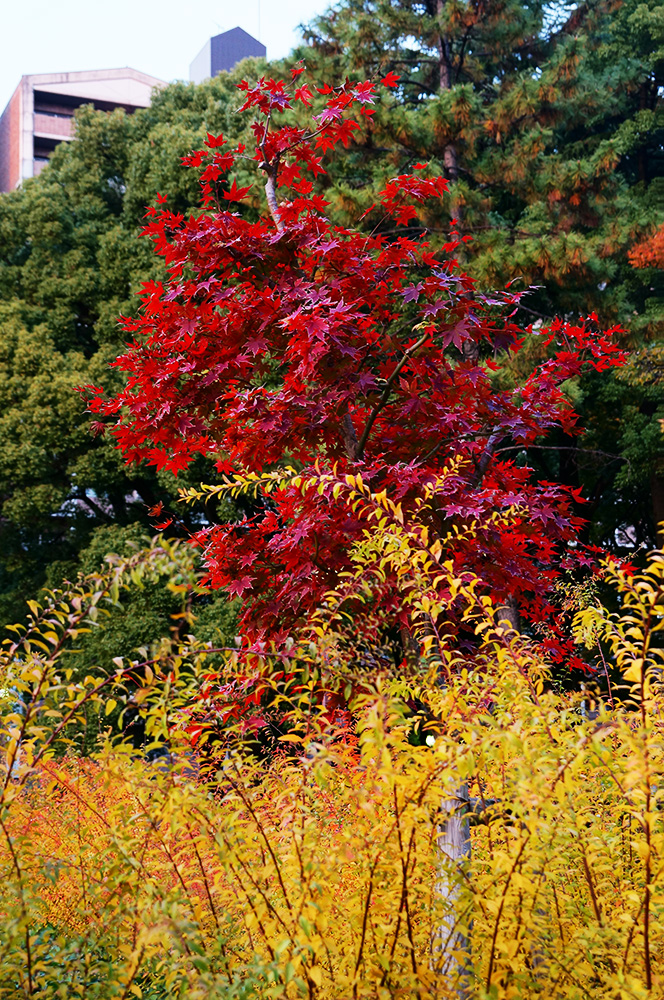 151209_162718_01TR1000